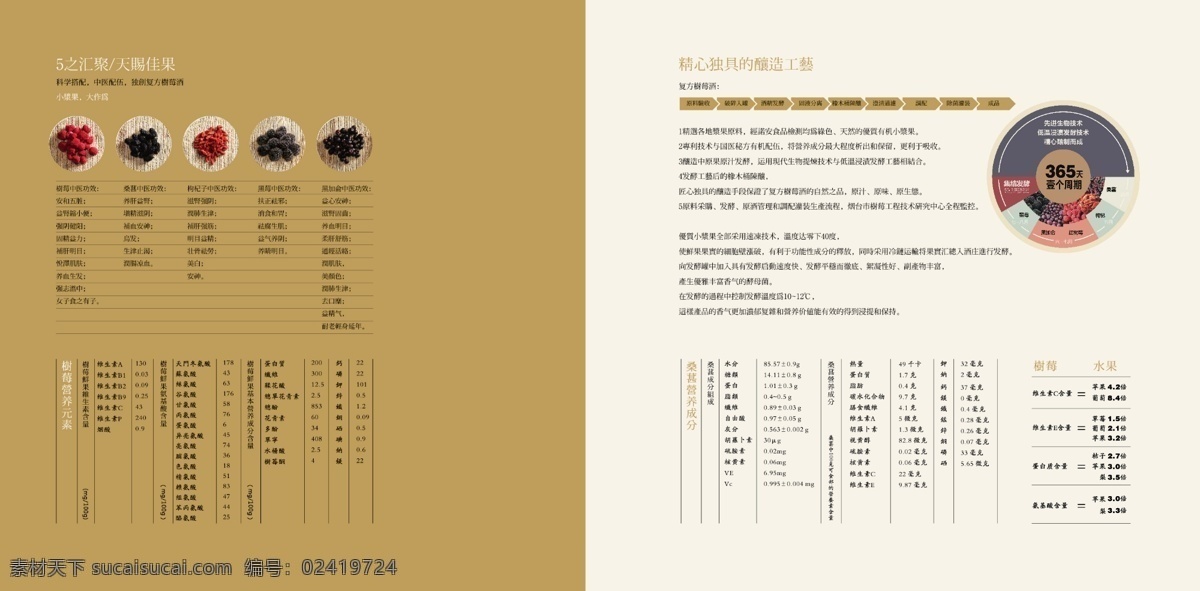 黑尚莓 黑草莓 主题明确 色彩鲜明 白色