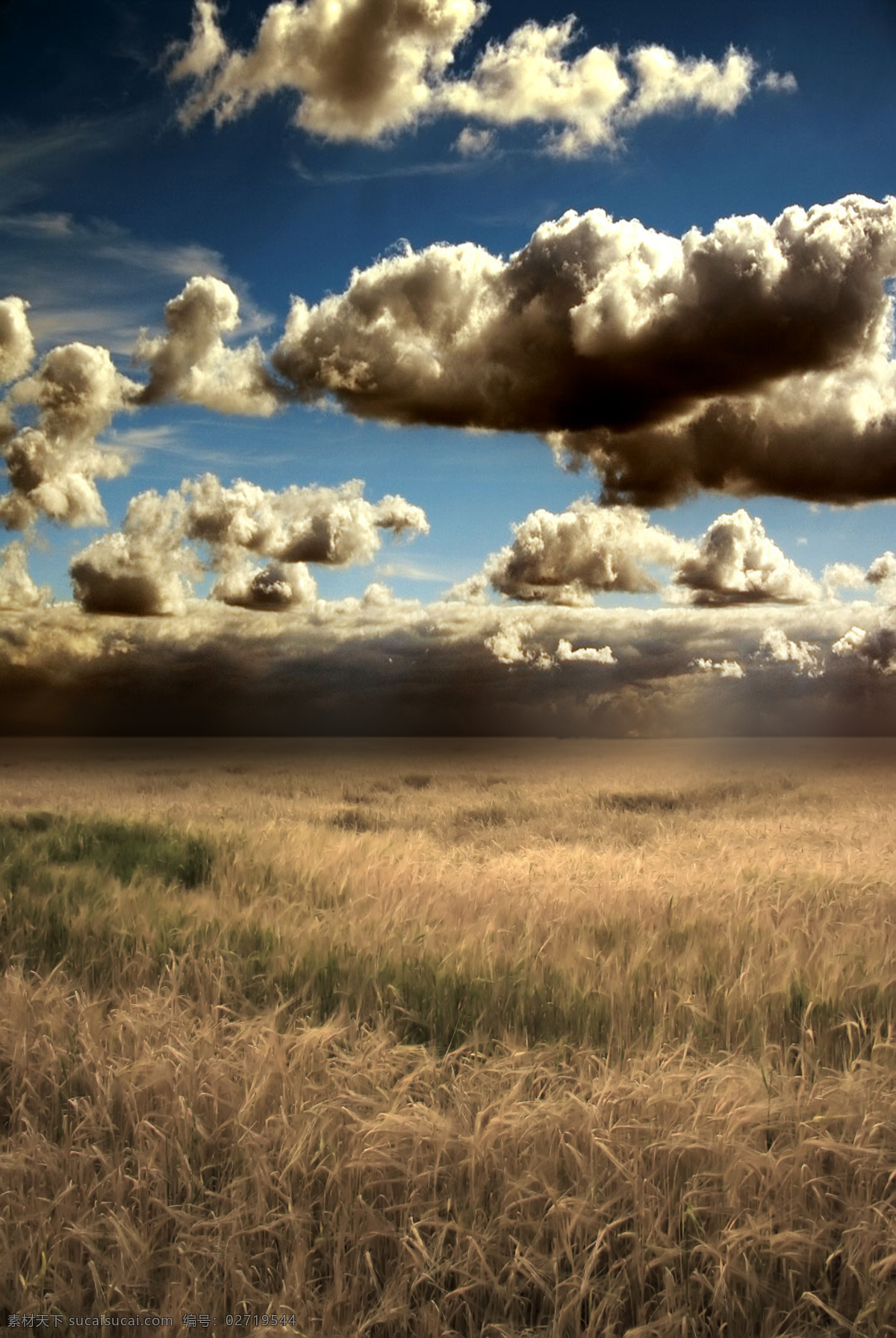 极 美的 麦田 风光图片 风光图片设计 麦田风光 天空 云朵 去 乌云 美丽风光 风景图片 美丽风景 风光 专辑 自然风光 自然景观