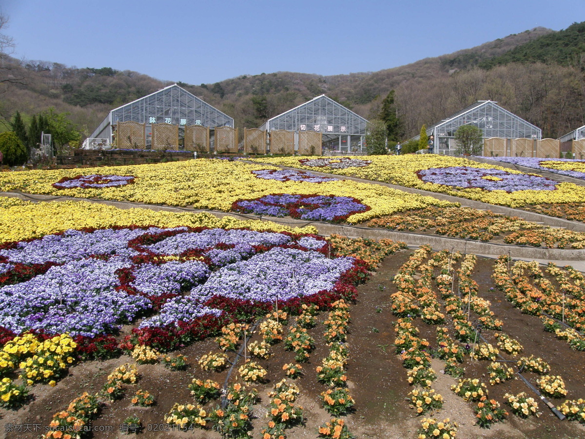 田园 田园风格 田园风光 田园风景 田园风情 田园景色 田园山水 田园摄影 田园图片 樱花 樱花树 樱花底纹 樱花图片 樱花恋歌 樱花标志 樱花的图片 樱花草 樱花背景 樱花节 风味 自助餐 家居装饰素材 山水风景画