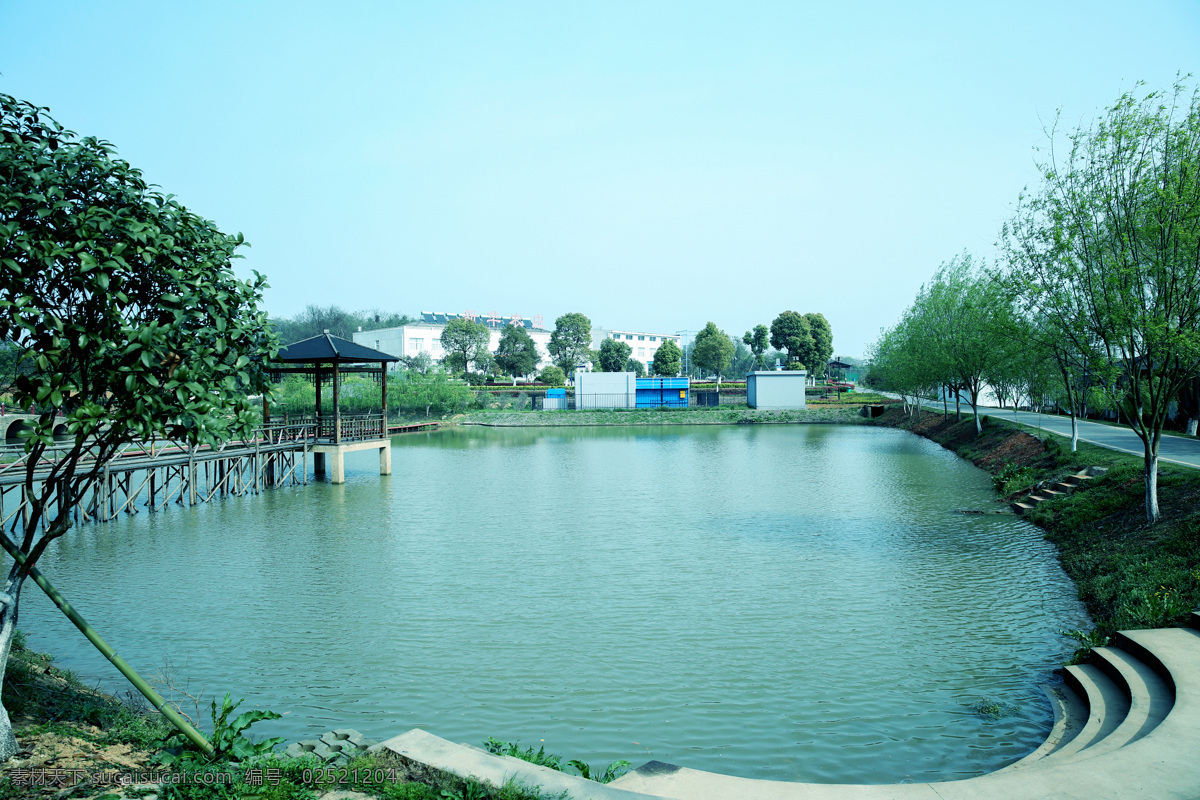 农庄池塘 农庄 池塘 水 风景 农家乐 建筑园林