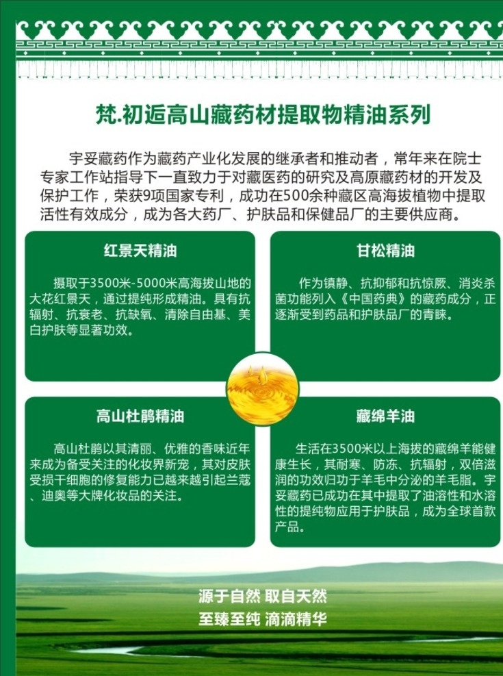 高原 产品 宣传单 台卡 草原 dm单 绿色 生态 大草原 精油 月亮湾 藏族 名族 dm宣传单