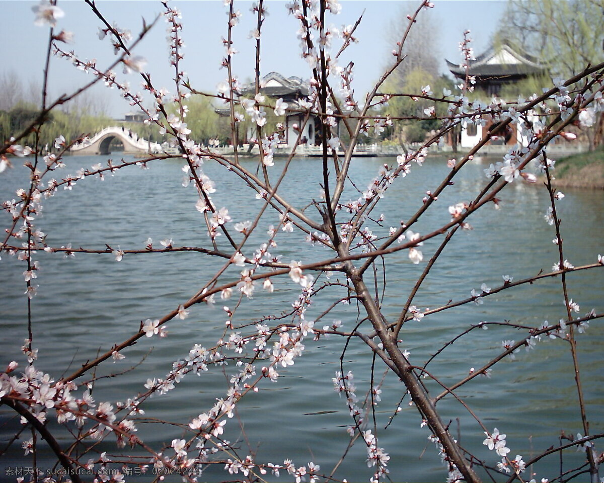 烟花 三月 下 扬州 瘦西湖 自然景观 风景名胜 摄影图库