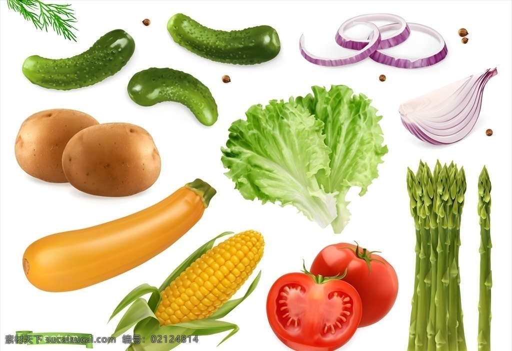 蔬菜展板 蔬菜海报 蔬菜文化 蔬菜素材 蔬菜挂画 蔬菜饮食 蔬菜营养 蔬菜超市 蔬菜市场 蔬菜广告 新鲜蔬菜 绿色蔬菜 蔬菜模板 底纹边框 其他素材