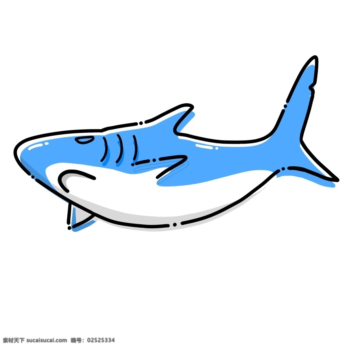 海洋生物鲨鱼 鲨鱼 海洋 生物