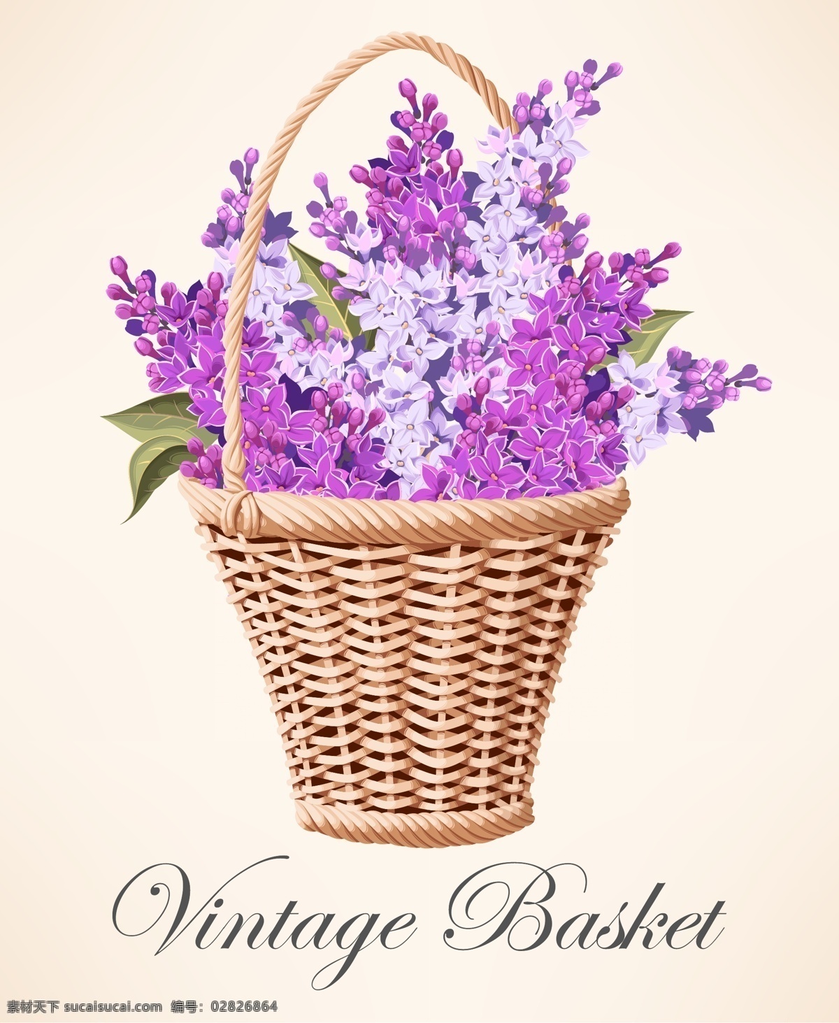 一篮子紫罗兰 花朵 篮子 植物 紫罗兰