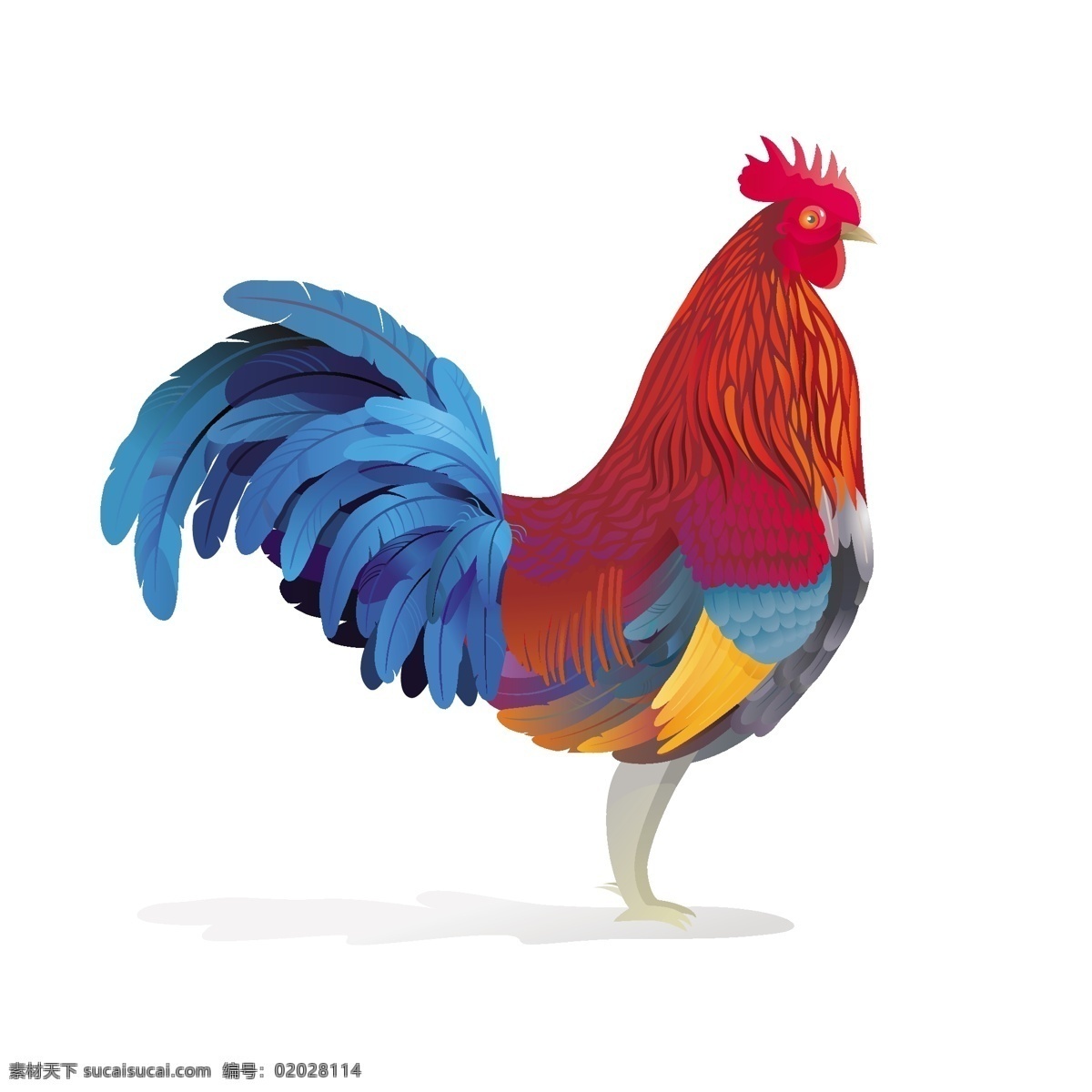 公鸡 插画 设计素材 公鸡插画 金鸡 手绘 鸡年 2017 年 矢量图