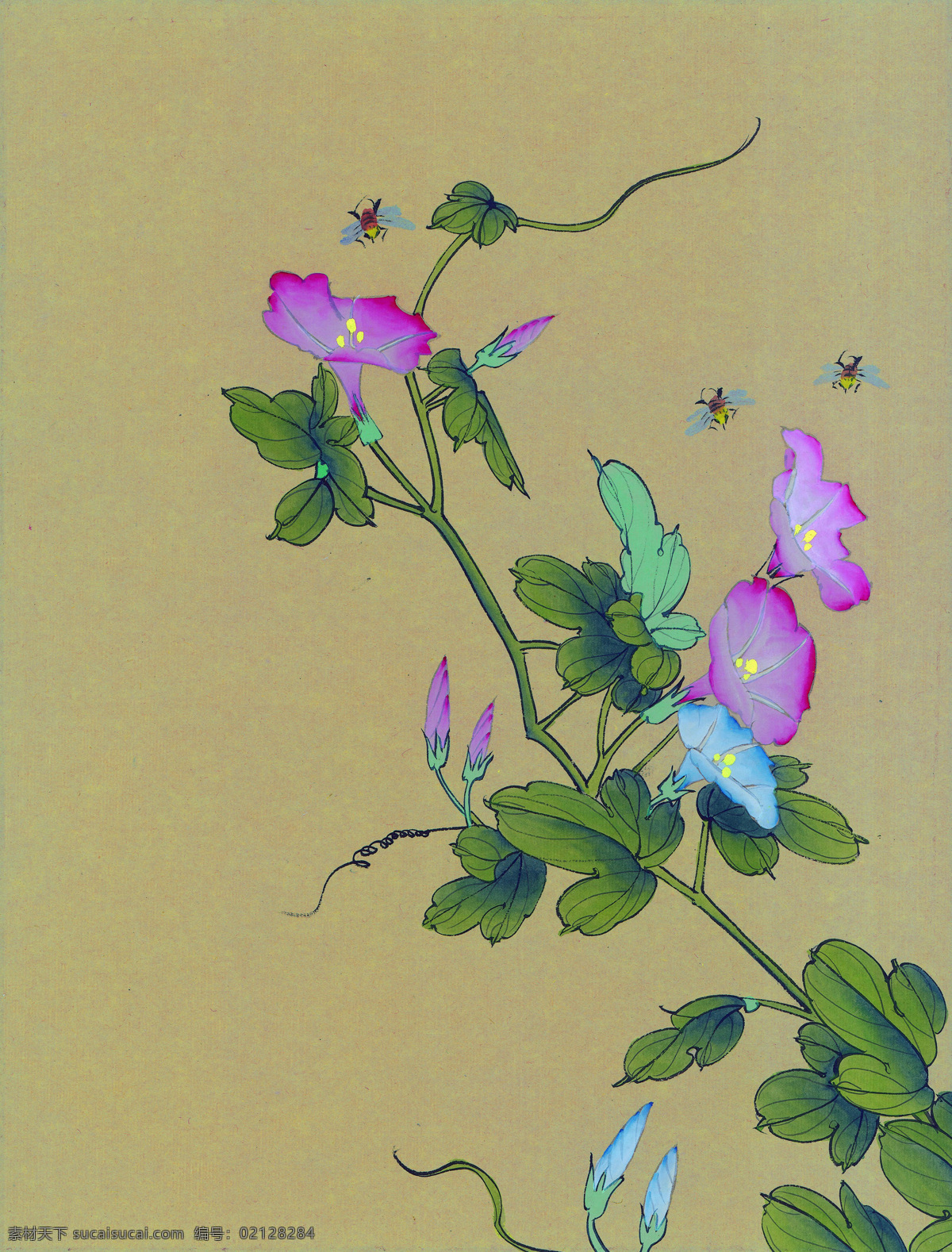 花鸟国画 国画素材 工笔画 绘画 白描 文化艺术 绘画书法