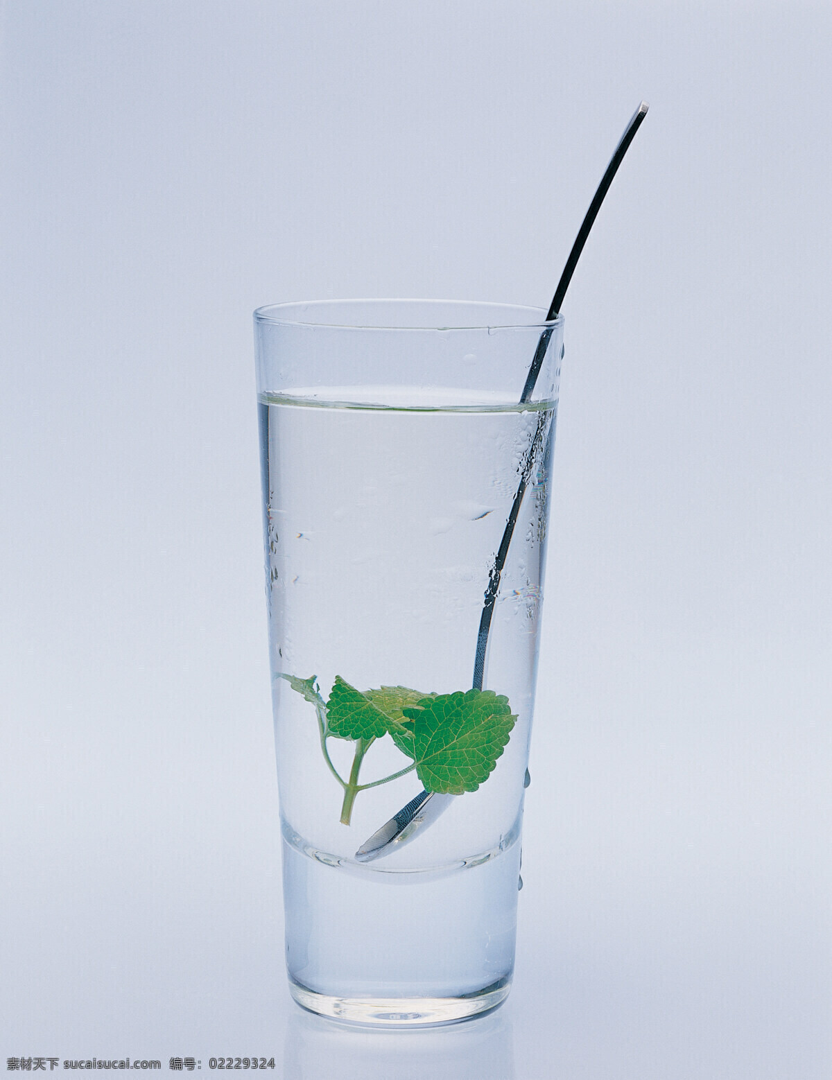 薄荷 茶 杯子 餐饮美食 摄影图库 叶子 植物 薄荷茶 水 植物叶子 矢量图 日常生活