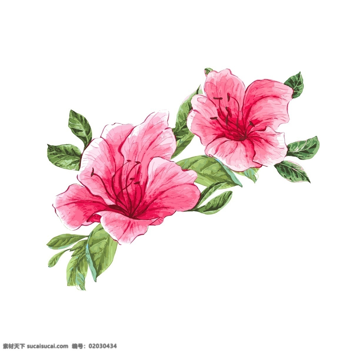 手绘 风水 彩艺 术 花卉 红花绿叶 元素 手绘风 水彩 花 艺术