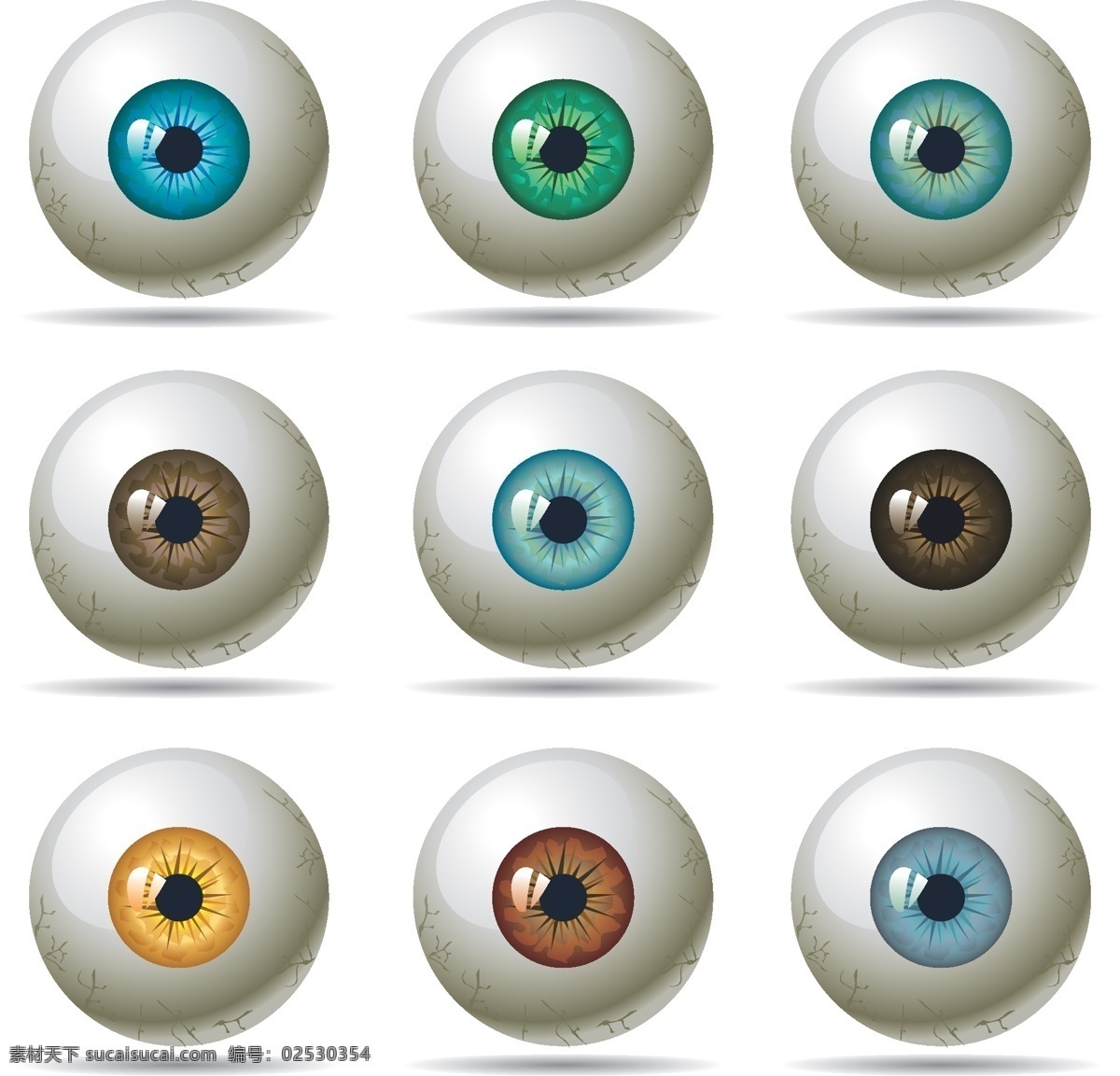彩 瞳 眼球 矢量图 眼睛 眼珠 彩瞳 其他矢量图