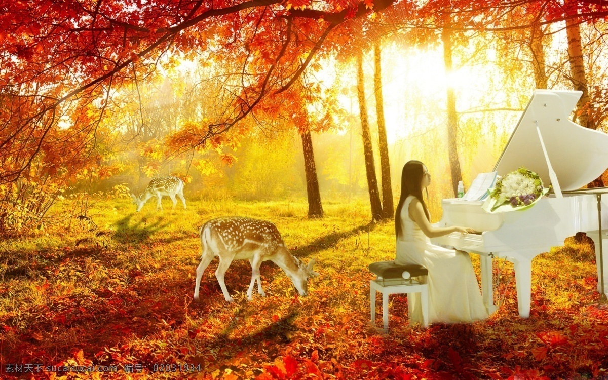 秋天的乐章 秋 写意 女孩 小鹿 枫叶 意境 唯美 黄色