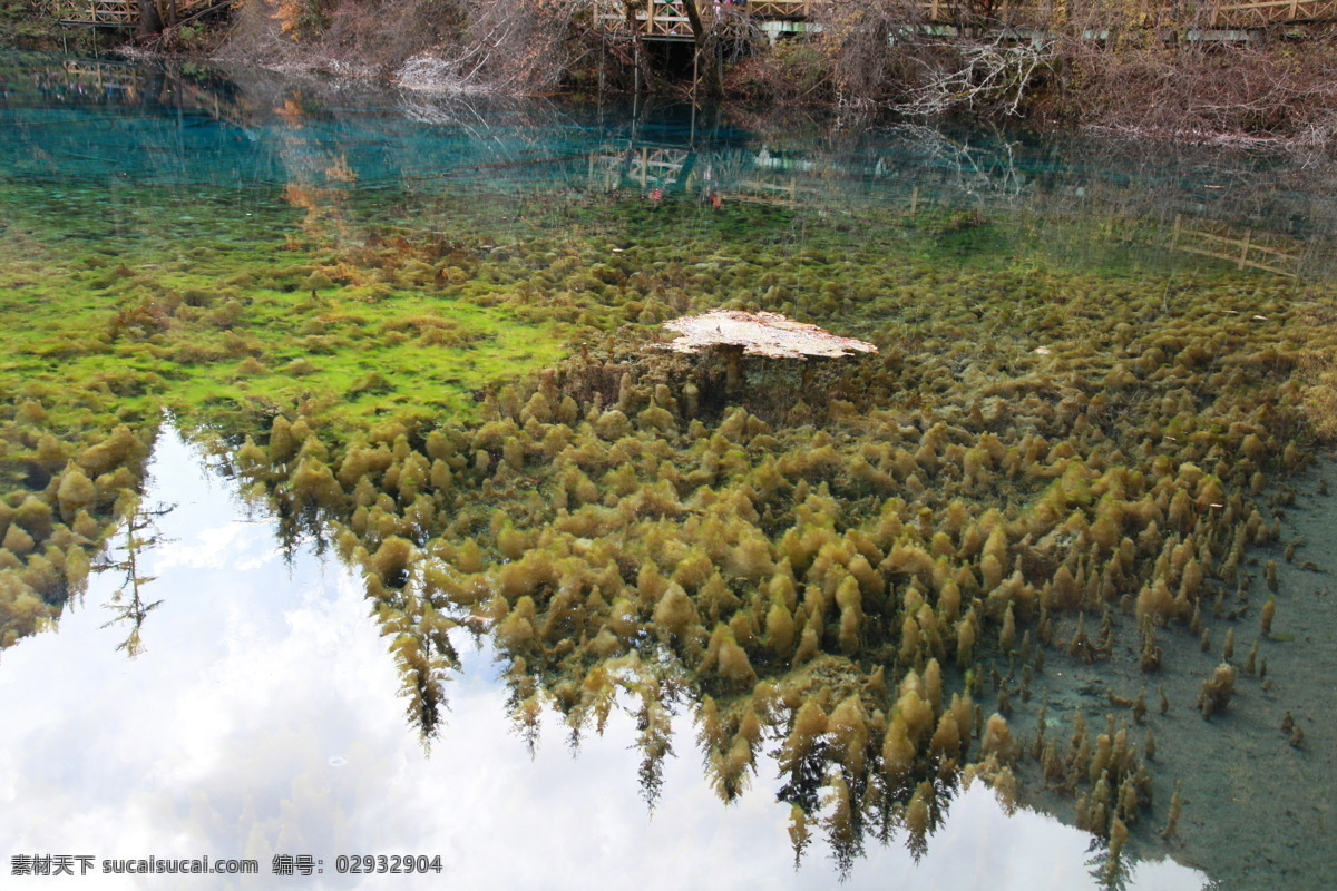 九寨沟 清澈 湖水 九寨沟风景 九寨沟风光 山水风景 山水风光 摄影作品 自然景观 自然风景