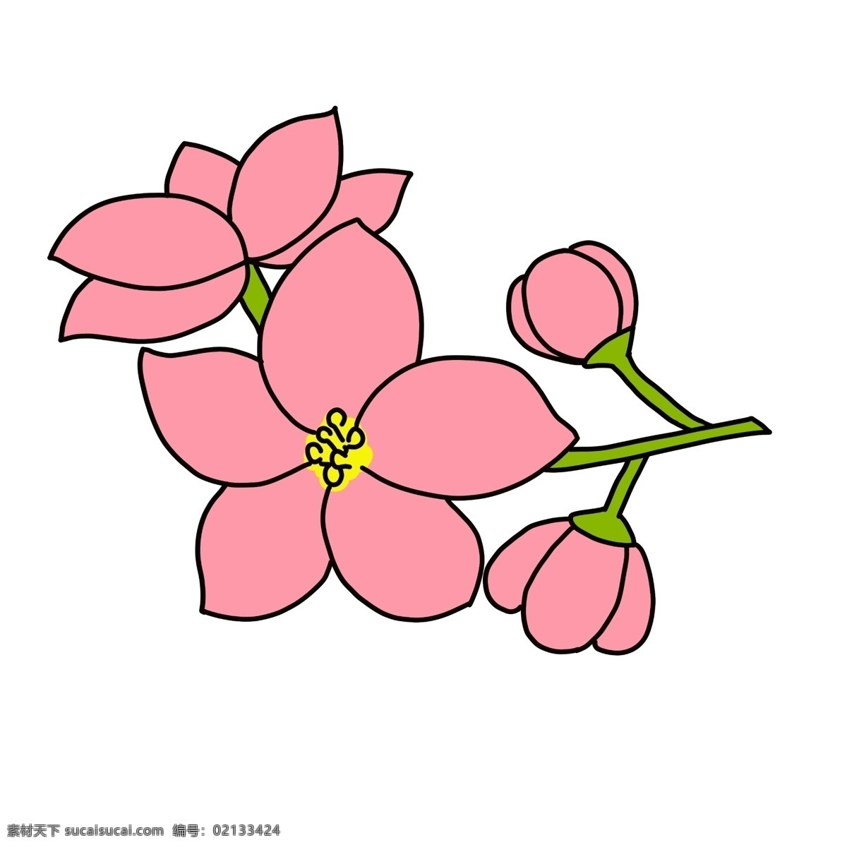 精美粉色樱花 粉色 樱花 花卉