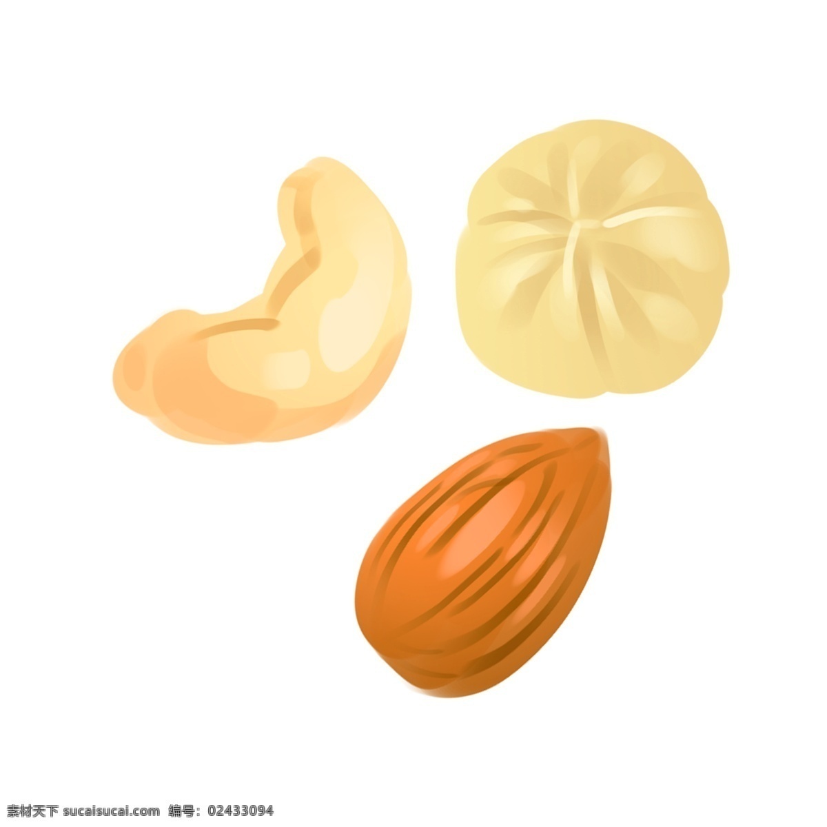 多样 坚果 装饰 插图 小吃