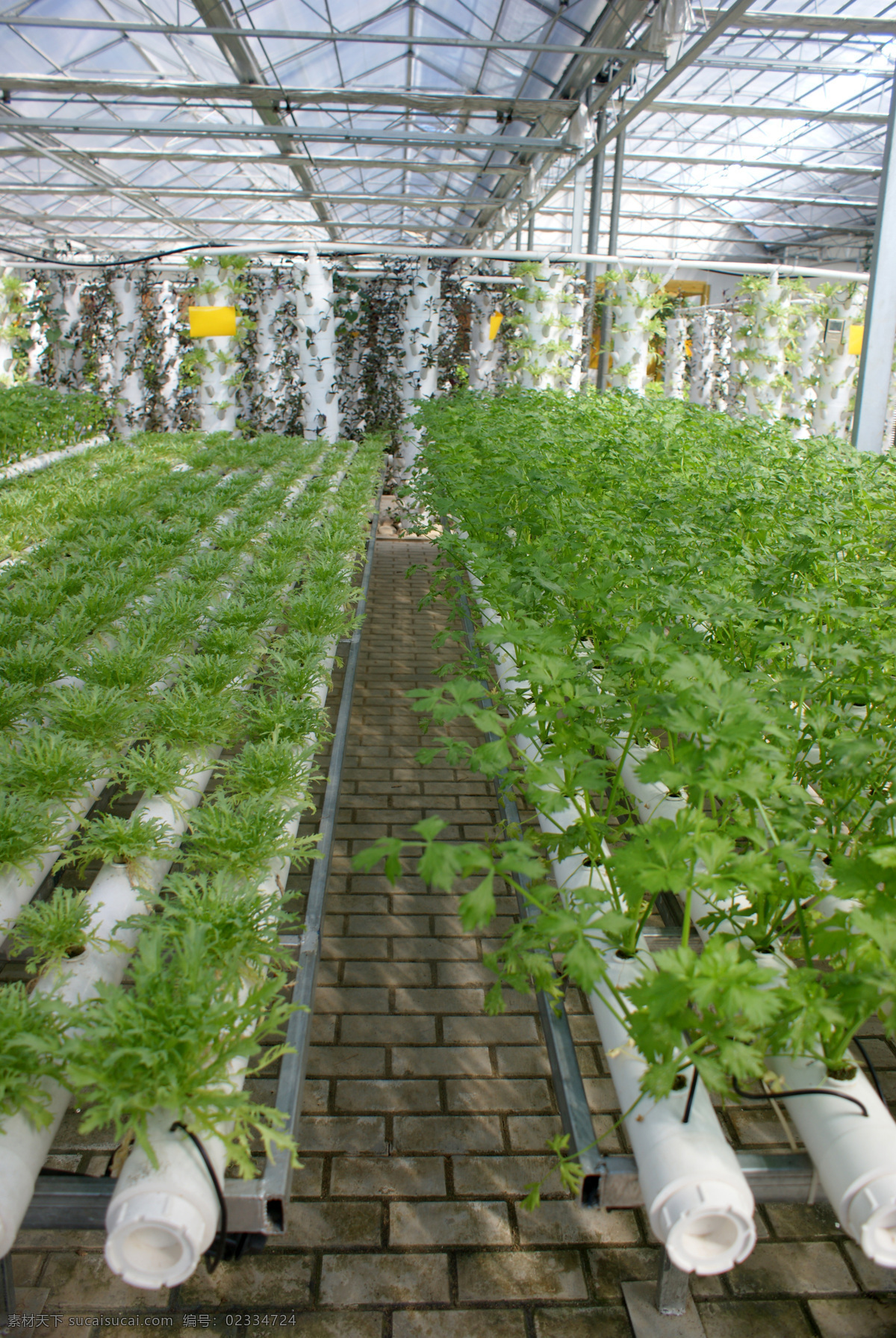 生态大棚 生态园区 生态餐厅 生态园 生态 绿色 餐桌 植物 蔬菜 餐厅 旅游 风光 风景 人文景观 旅游摄影 田园风光 自然景观