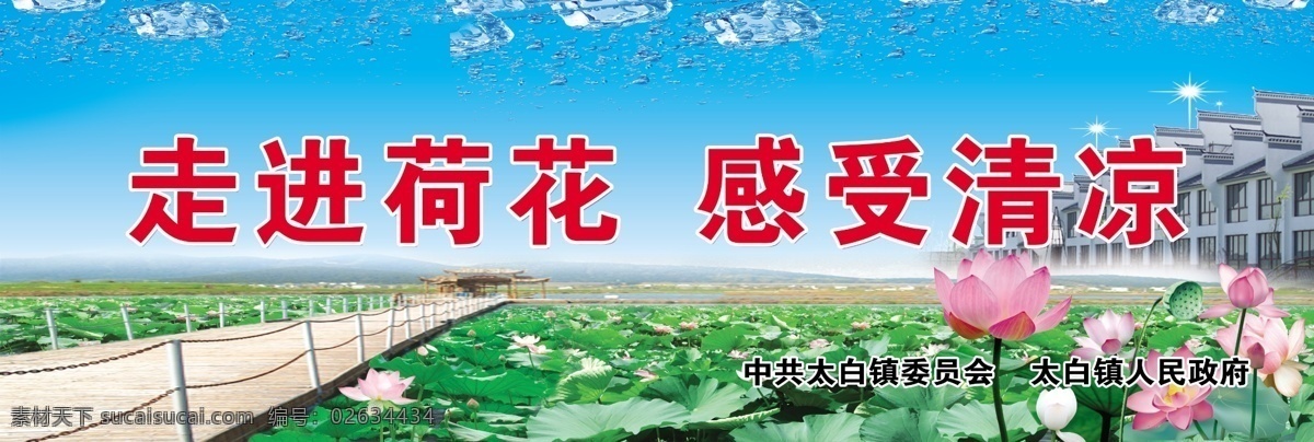 走进荷花 感受清凉 荷花 桥 太白生态乐园 太白老街 水珠 天空蓝 青色 天蓝色