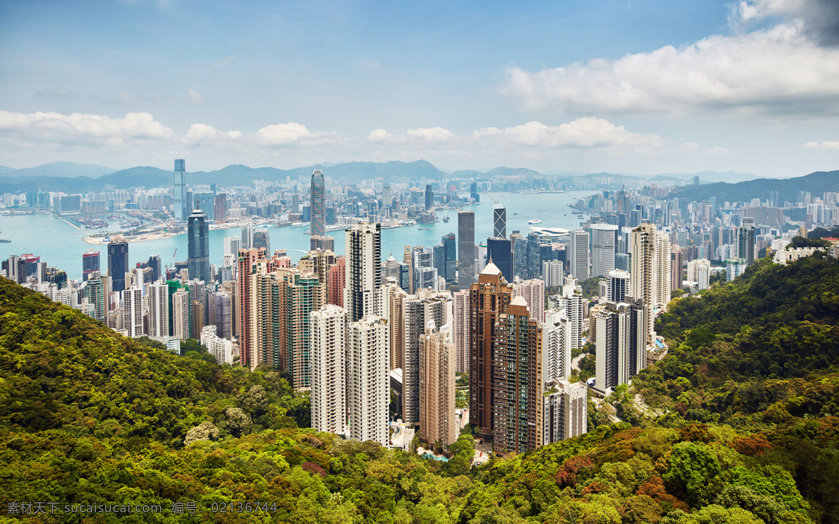 鸟瞰 香港 维多利亚港 香港建筑 海湾 建筑 城市 自然景观 建筑景观