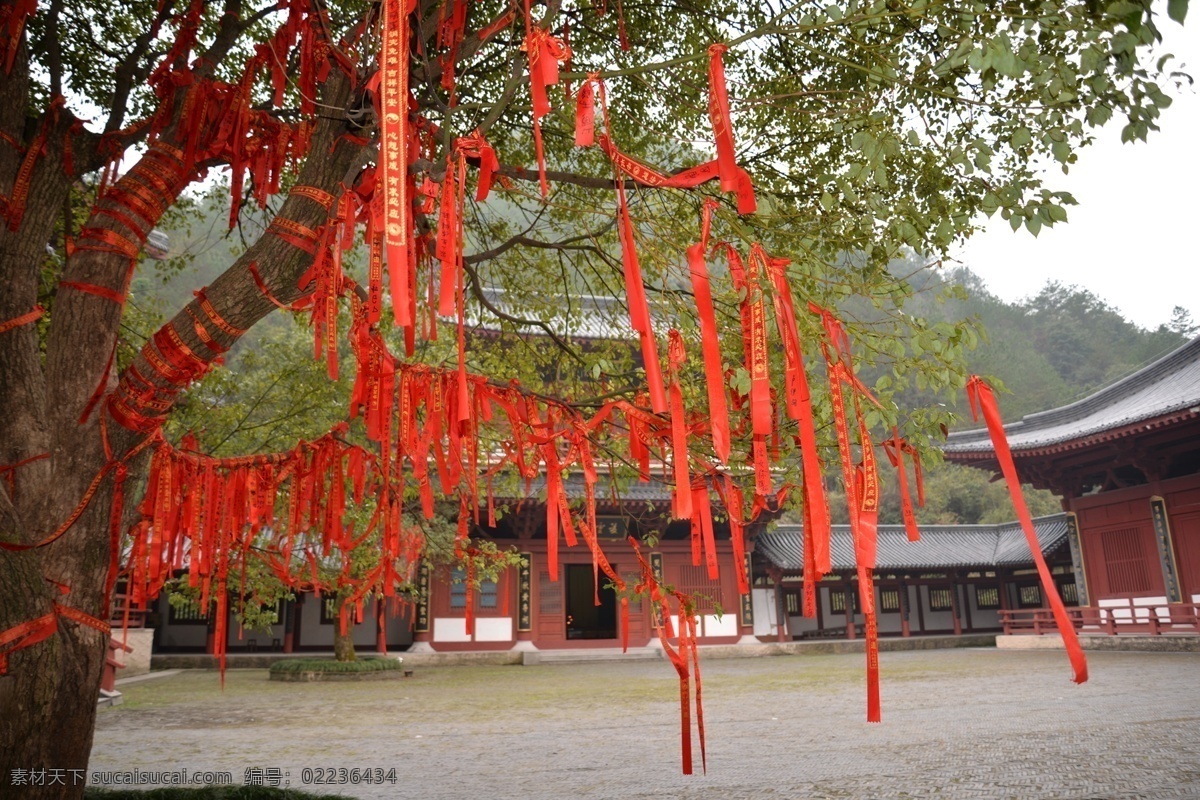 许愿 树 风景 风景美图 美图 寺庙 文化艺术 许愿树 自然景观 仙都 宗教信仰