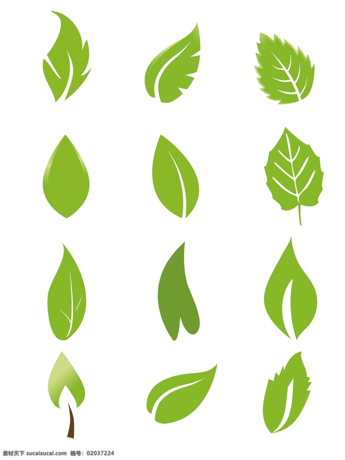 绿叶 树叶 春天 春季 大自然 植物 藤蔓 叶子 植被 绿植 绿色 环保 清新 绿色海报 绿色点缀 装饰图案 公益宣传 素材图