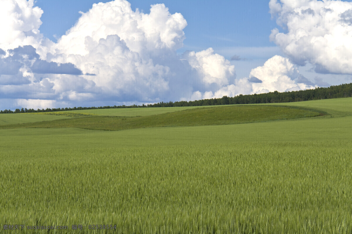 草原 风景 天空 蓝天白云 旅游 美景 自然景观 自然风景 旅游摄影 草地 草原图片 风景图片