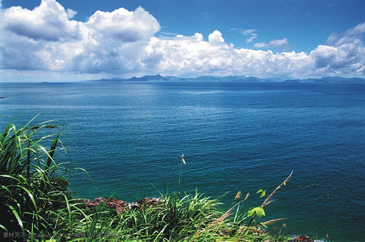 海天一色 白云 大海 大自然 海景 蓝天 绿色 山 摄影图库 天一色 天空 树枝 自然景观 自然风景 风景 生活 旅游餐饮