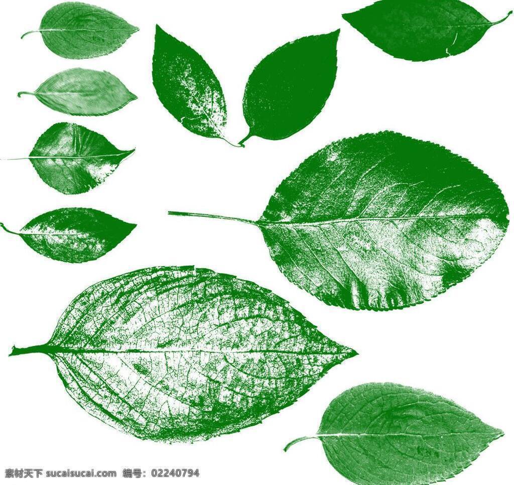 树叶 笔刷 abr ps笔刷 叶子 源文件 树叶笔刷 植物笔刷