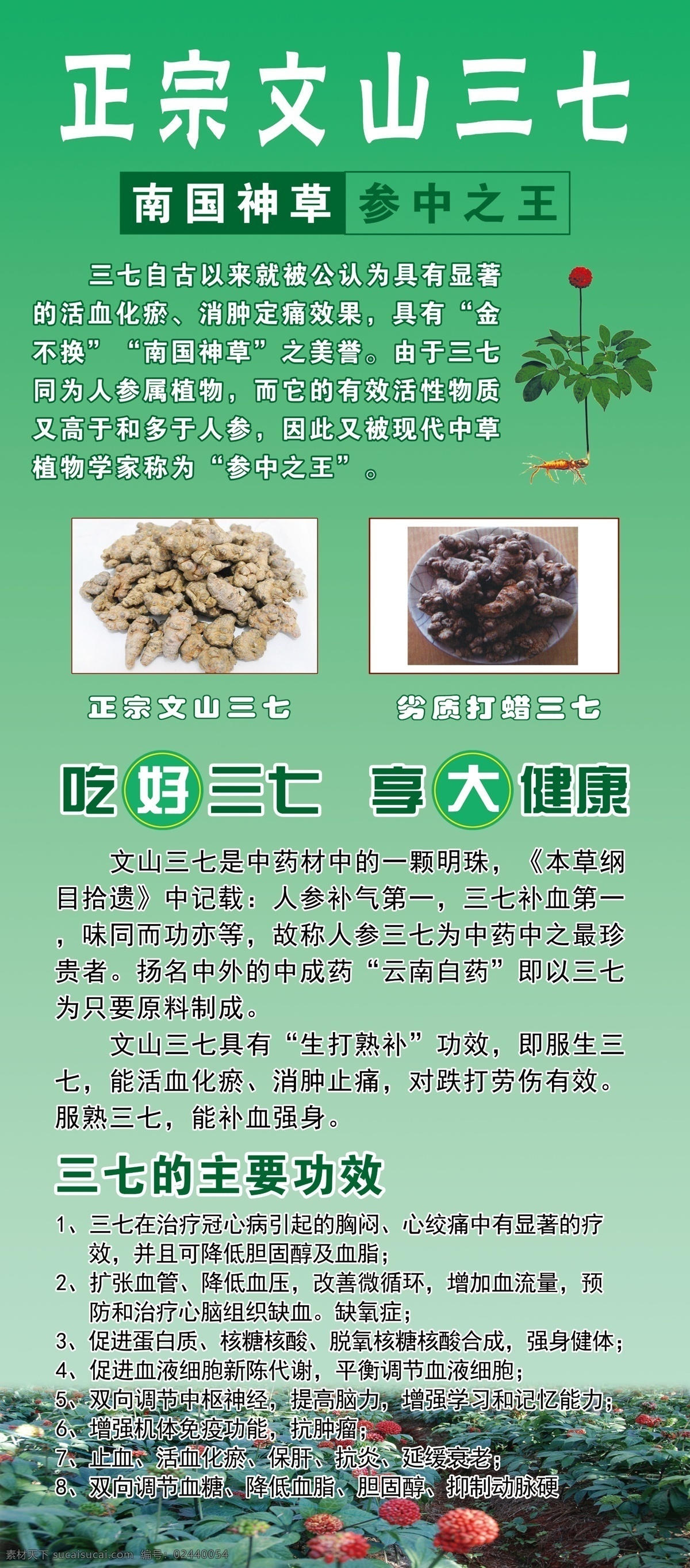 文山三七展架 三七展架 文山 三七 特产 三七粉 养生 展架 高血压 产地 保健 dm宣传单