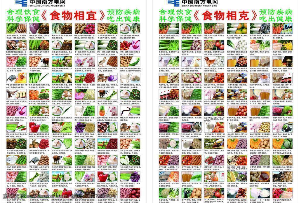 食物 相宜 相克 健康 科学 食物相宜相克 矢量 矢量图 现代科技