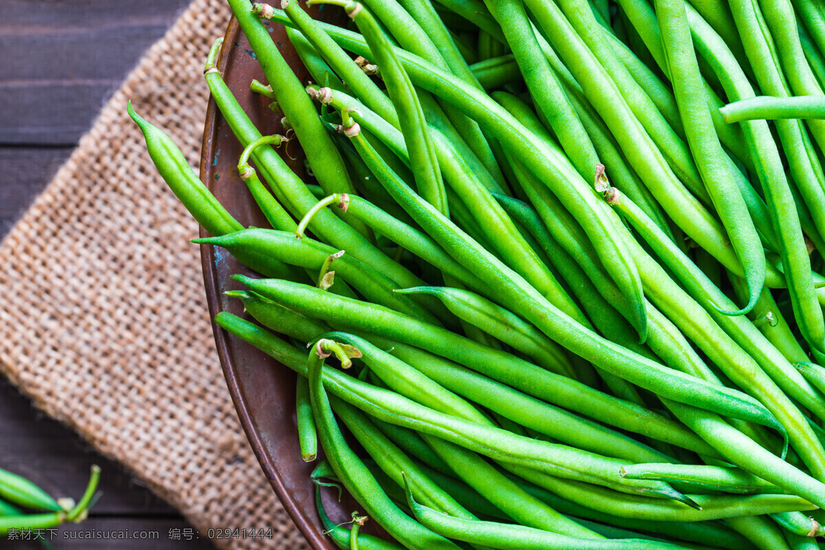 绿色四季豆 蔬菜 绿色 新鲜 四季豆 食材 生物世界