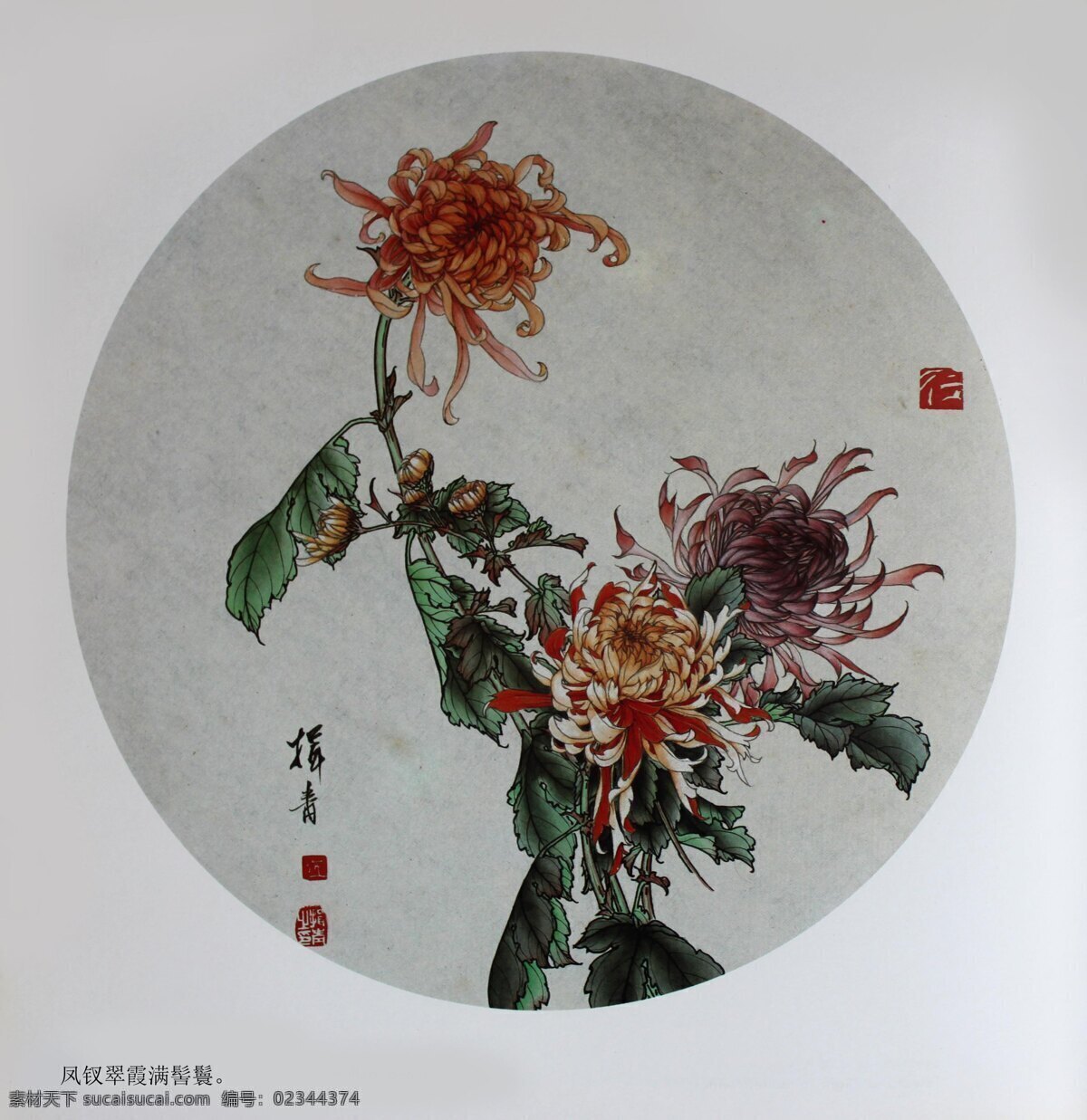 秋菊 菊花 国画 工笔画 花鸟画 名家 华人 工笔画5花鸟 绘画书法 文化艺术