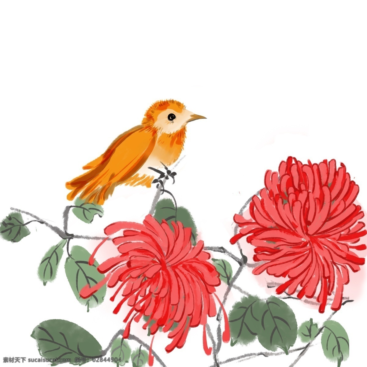 手绘 水彩 花鸟 插画 红色花朵 绿色叶子 植物 小鸟 花鸟插画 花朵插画 手绘花鸟插画