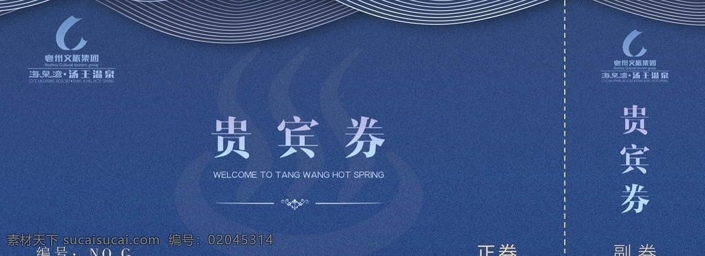 贵宾券 蓝色系 高端 贵宾卡 渐变蓝