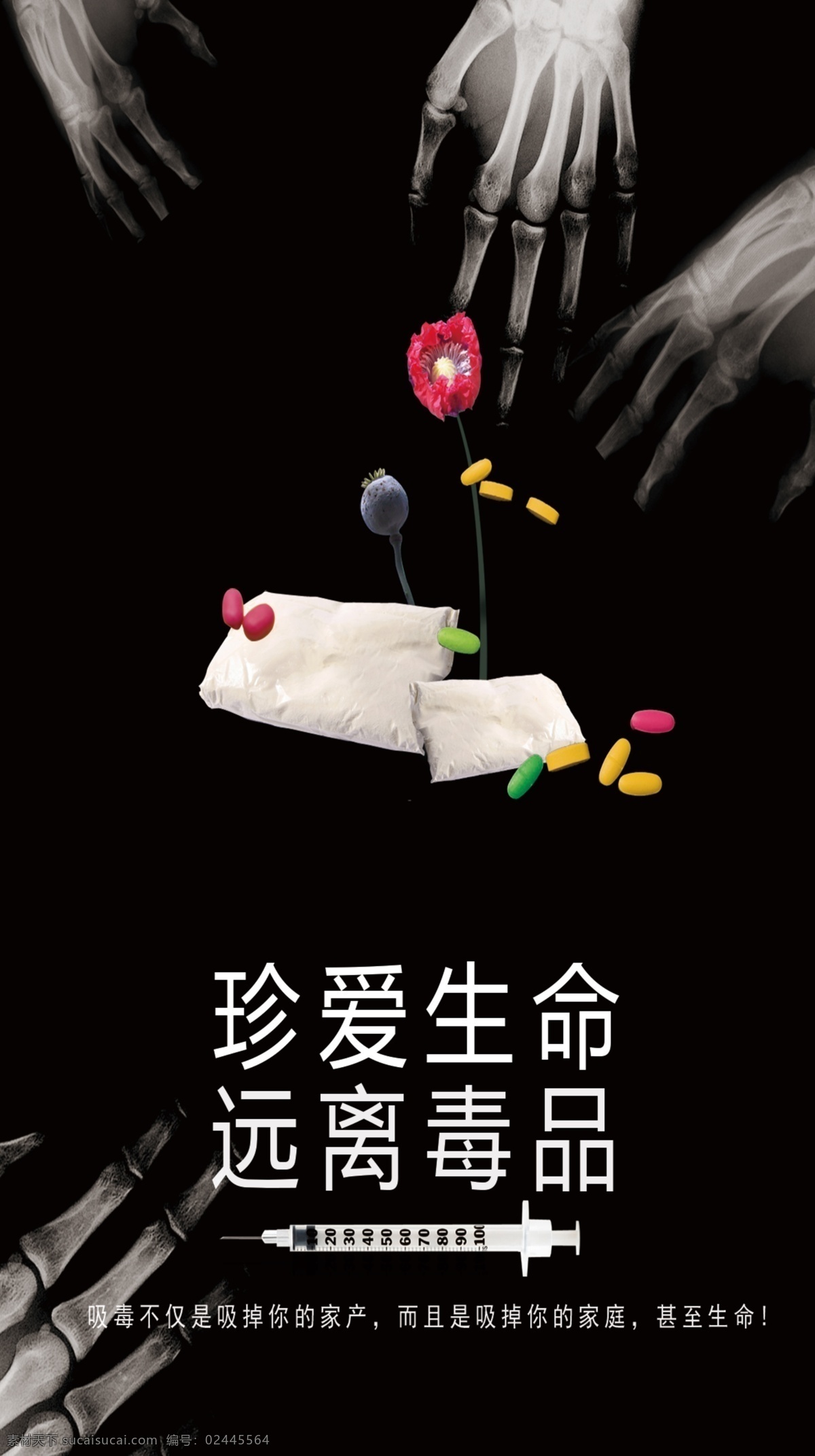 远离毒品 毒品 毒品危害 珍爱生命 吸毒 罂粟 禁毒 大麻 冰毒 海洛因 摇头丸 标语 拒绝毒品 吸烟有害健康 毒品常识 吸毒原因 构建拒毒防线 展板 宣传栏 依法禁毒 禁毒宣传 禁毒板报 禁毒展板 禁毒图片 禁毒宣传栏 禁毒海报 禁毒资料 禁毒标志 禁毒背景
