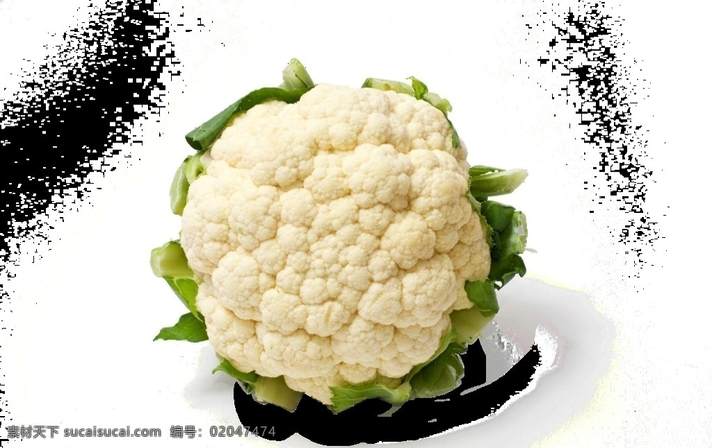 白色蔬菜 新鲜花菜 蔬菜 有机花菜