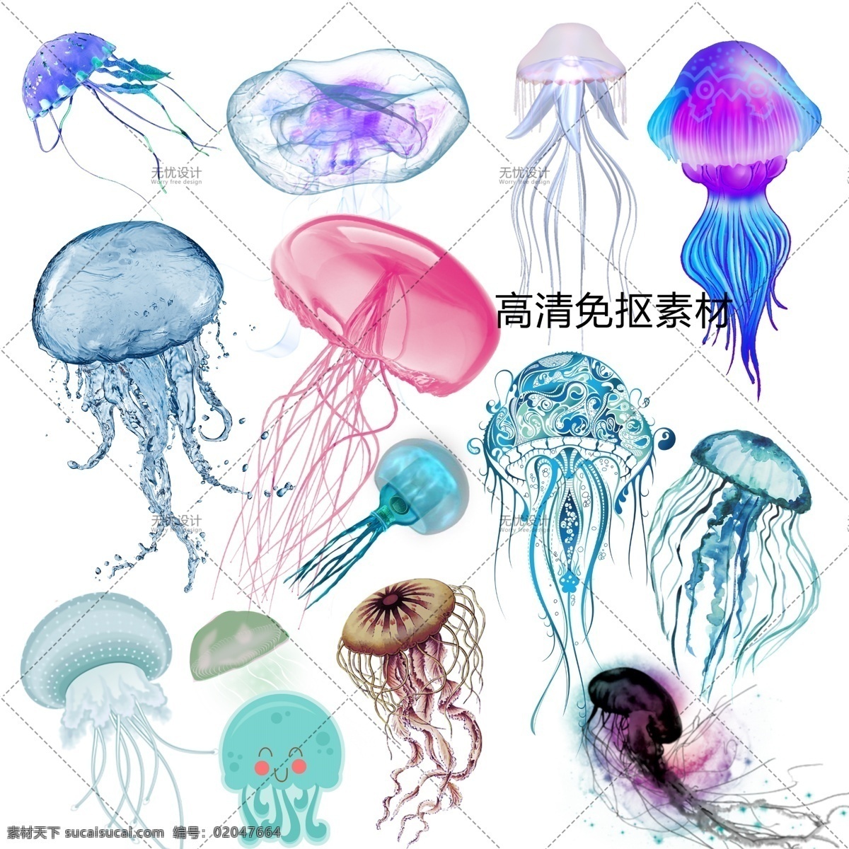 透明素材 png抠图 云母 海蜇 水产 浮游生物 海月水母 灯箱水母 十字水母 僧帽水母 水螅水母 管水母 分层 海洋 免抠素材