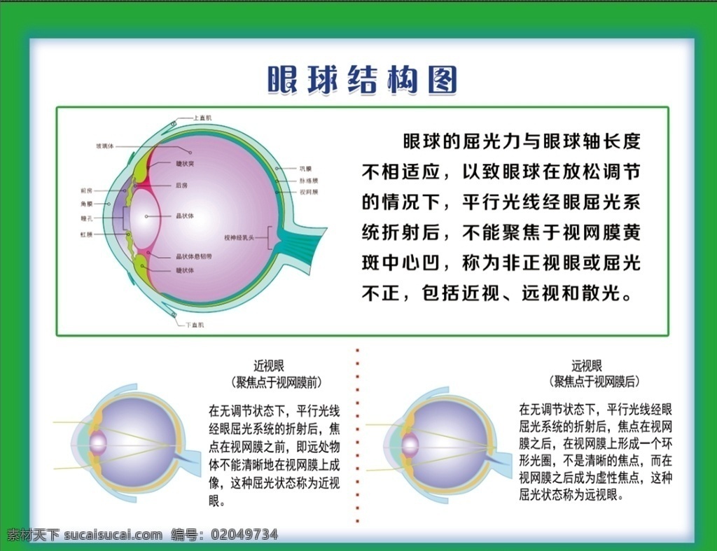 眼结构图 配装眼镜 眼球结构图 眼球 眼镜店海报 海报 蓝色背景