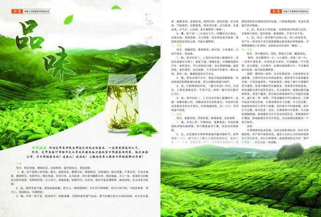 绿茶杂志排版 绿茶彩页 绿茶知识 茶园彩页 茶园背景 绿茶背景 茶叶背景 白色