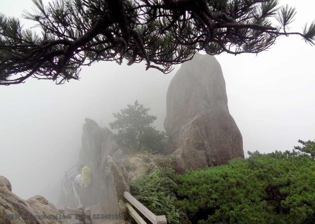 黄山 云海 松树 黄山松 雾海 奇观 黄山石 奇石 悬崖峭壁 风景名胜 自然景观