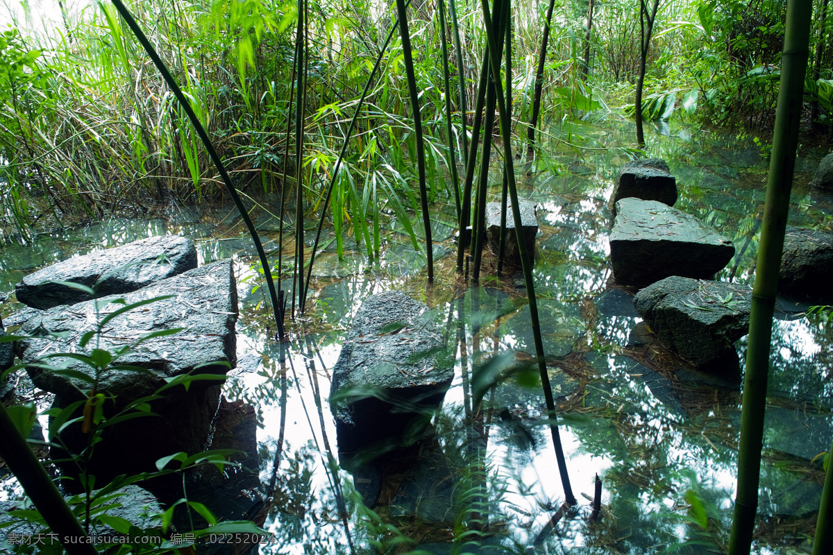 倒影 风景 风景名胜 风景区 山水风景 深圳 石头 东部华侨城 竹 石图 片 石 竹子 竹林 竹叶 水 小路 东部 华侨城 自然风景 自然风光 自然景观 矢量图 日常生活