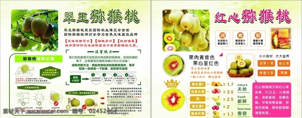 翠玉 红心 猕猴桃 介绍 广告 绿色背景 海报