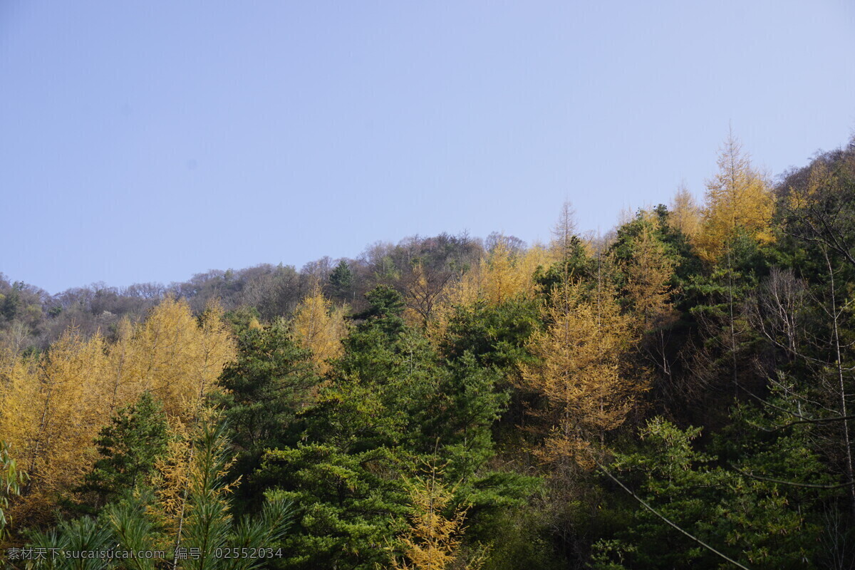 高山树林风景 高山 树林 树木 蓝天 美景 多娇江山 自然景观 自然风景