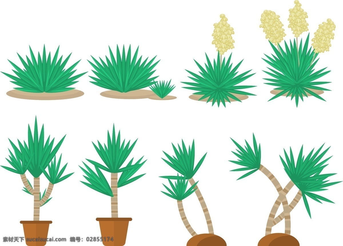 盆栽植物集合 植物 树木 矢量素材 植物插画 手绘植物 叶子 树叶 植物素材 盆栽植物 盆栽