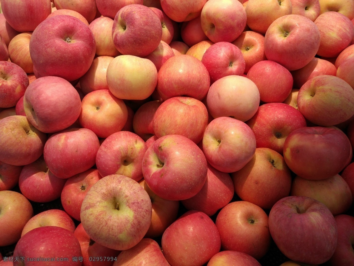 苹果 新鲜的水果 美味的水果 鲜果 水果 有机水果 绿色水果 农副产品 生物世界 餐饮美食 食物原料