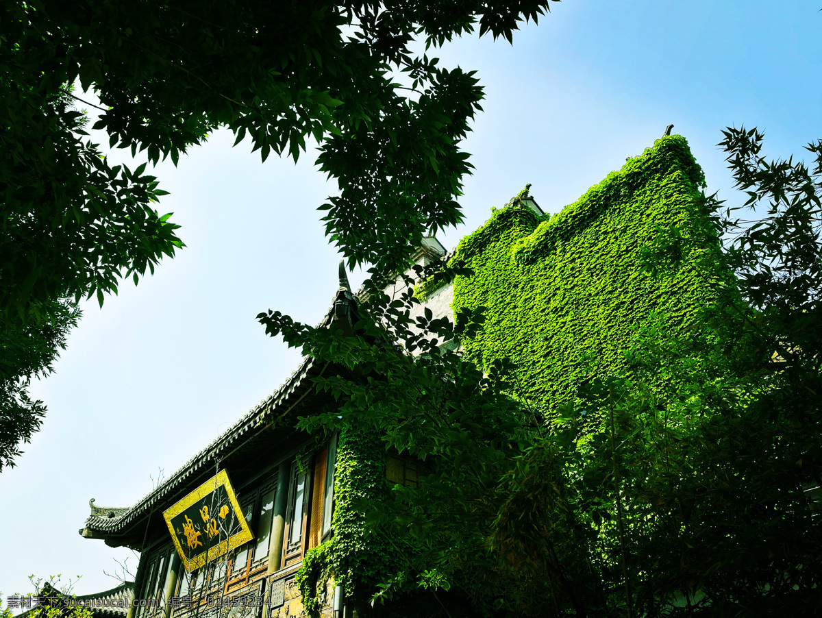古城一角 古城 聊城 环境 绿色 自然 旅游摄影 国内旅游