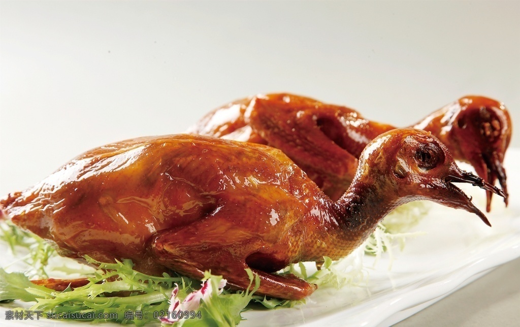 吊烧乳鸽 美食 传统美食 餐饮美食 高清菜谱用图