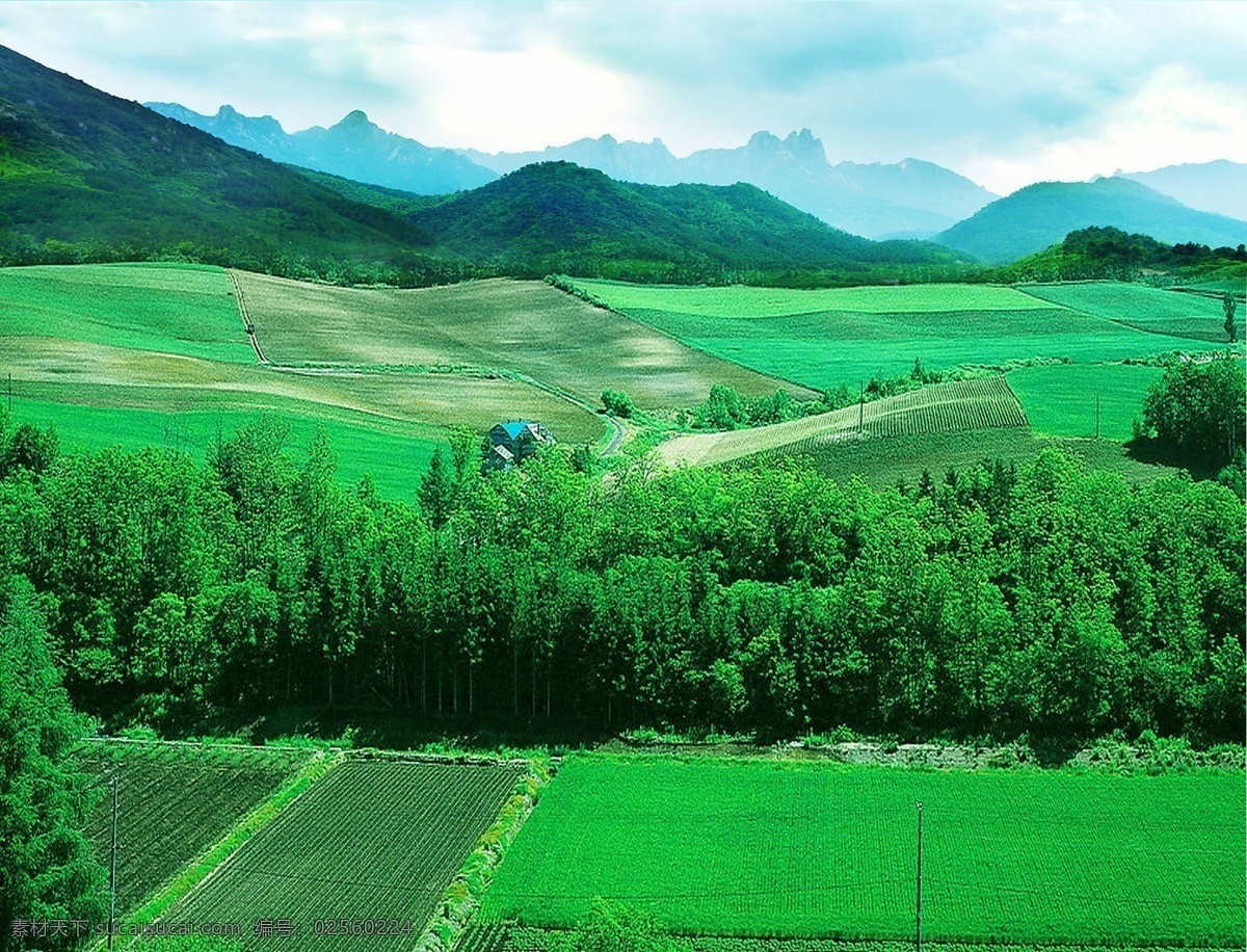 绿色 田园风光 背景 田野 背景素材