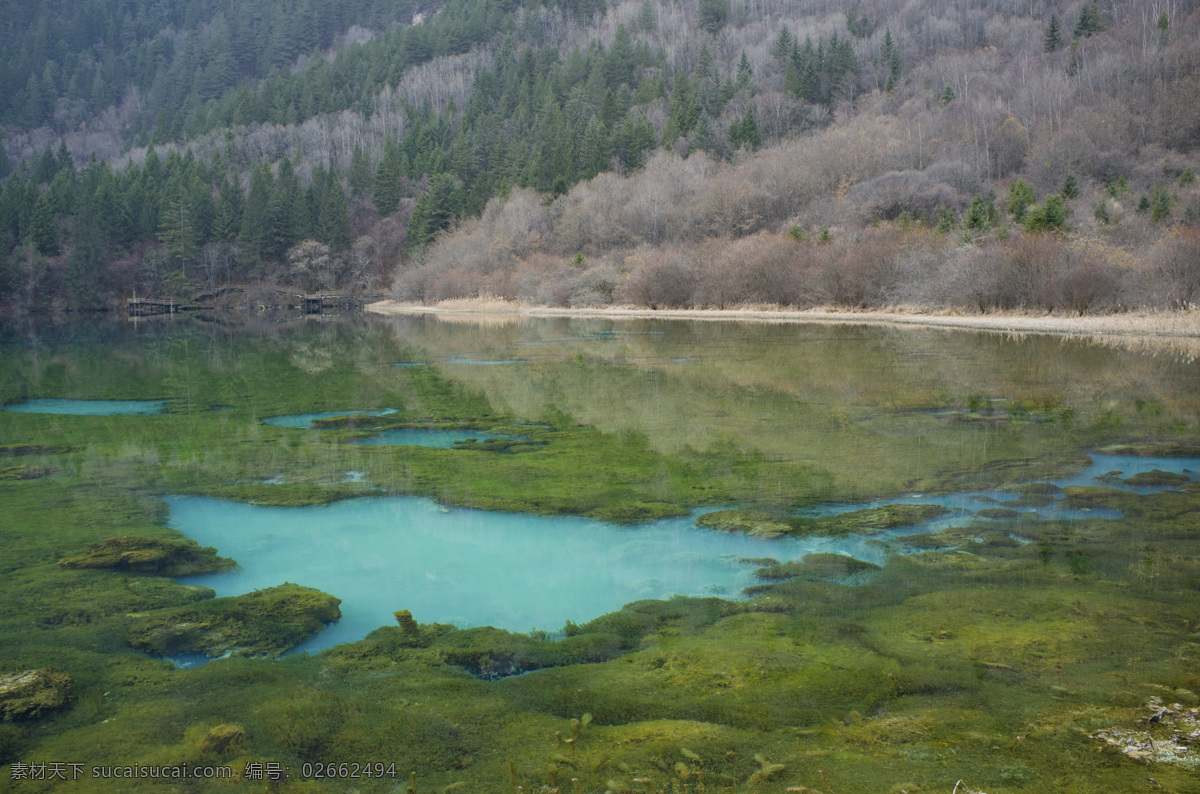 四川 九寨沟 碧水 碧绿 瀑布 流水 青山绿水 旅游摄影 国内旅游