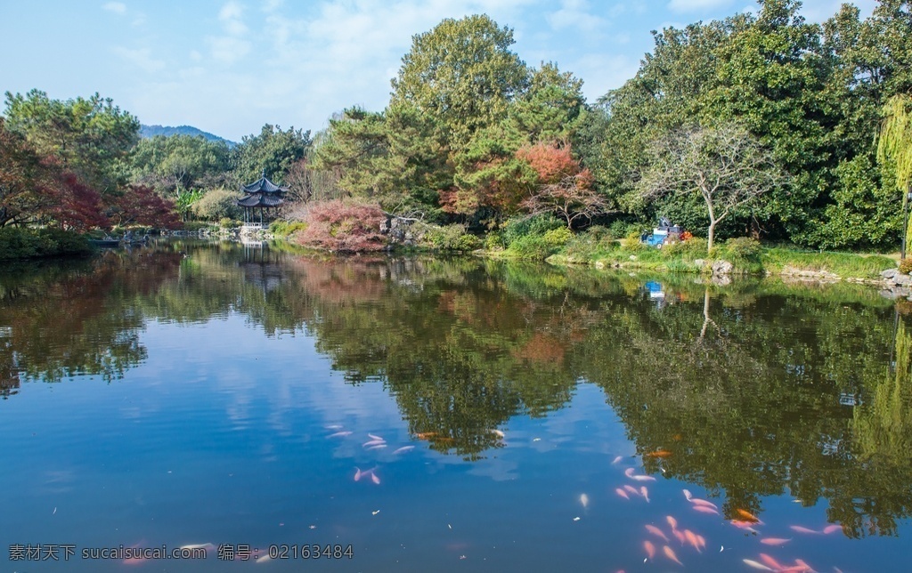 西湖 花港观鱼图片 花港观鱼 杭州西湖 世界遗产 5a 浙江 杭州 风光摄影 旅游摄影 国内旅游