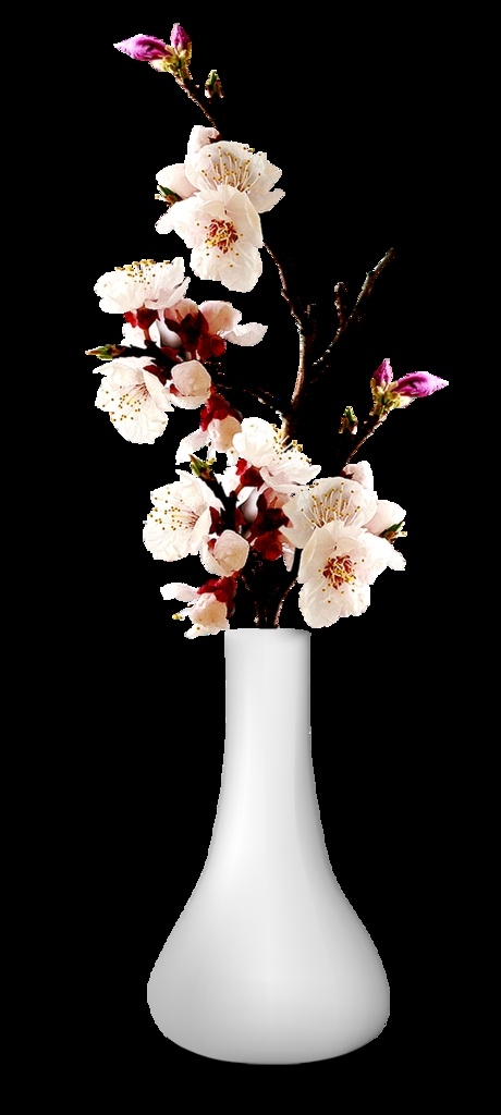 花瓶图片 花艺摆件 装饰品 工艺 文化艺术 瓷瓶 插画 新中式 中国风 古风 玄关装饰 室内摆件 精美装饰 精美摆件 单品元素 小物件 盆栽 花盆 瓷器 花瓶