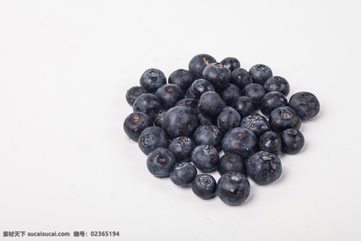 蓝莓果 蓝莓 蓝莓树 蓝莓苗 蓝莓果实 蓝莓酒 水果 生物世界